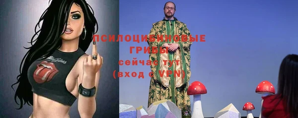 амф Алексин
